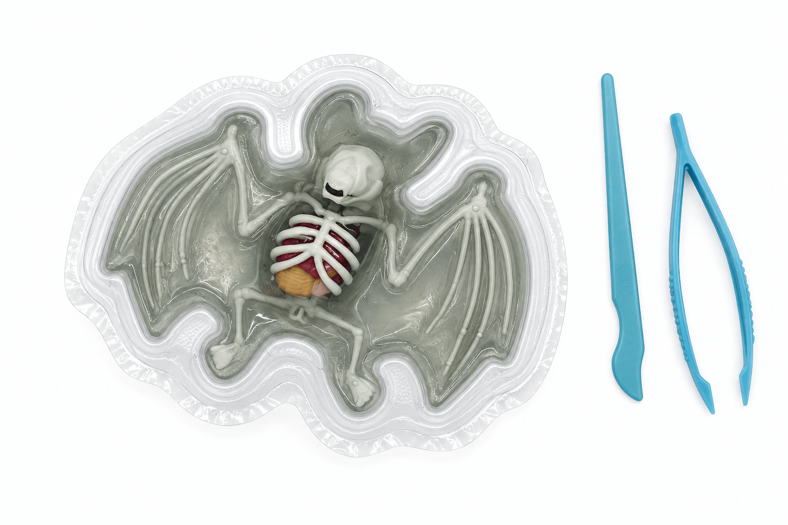 Synthetic Animal Dissection Kit